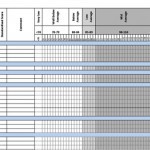 Record of Standardised Scores